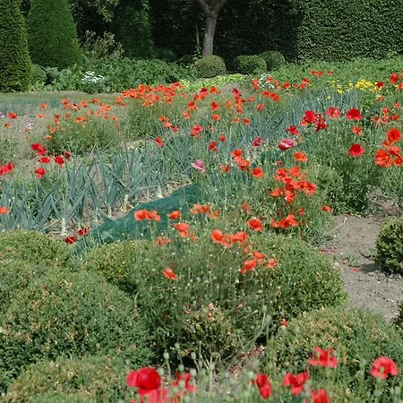 Sterrehof