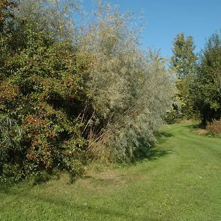 Sterrehof Avelgem
